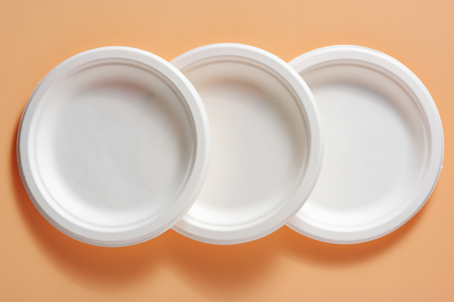 Platos de Papel Biodegradables: La Guía Definitiva para Elegir el Mejor Material