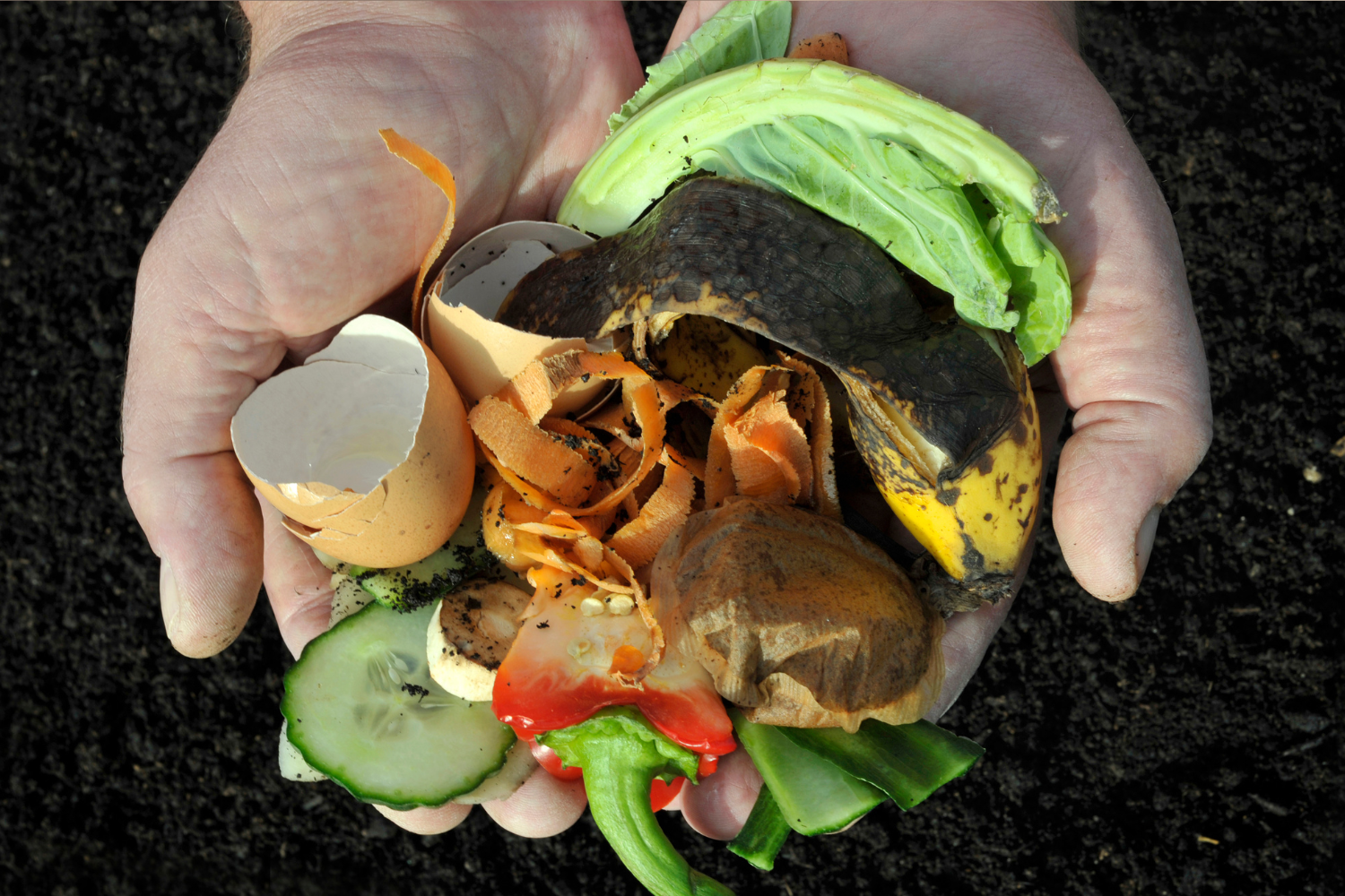 Productos biodegradables para el día a día: del desayuno a la cena