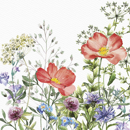 Servilletas Daisy, colección de todo el año, Meadow, 33 x 33 cm, 20 uds.